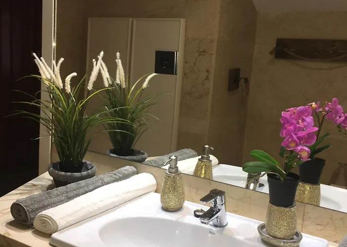 Claustro Francesas Siglo Xv Valladolid